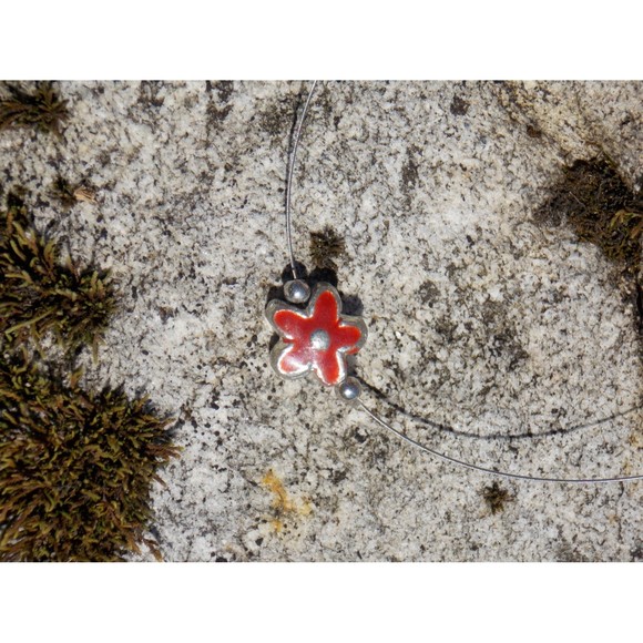 Dixie - Picture 3 of 5